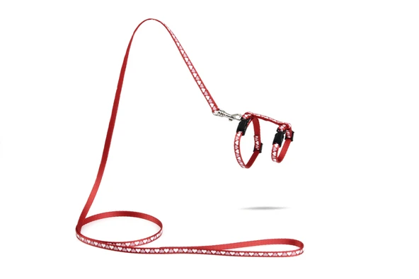 Beeztees Yavru Kedi Göğüs Tasması ve Gezdirme Kayışı 120cm, Kırmızı, 16-25cm Boyun, 23-36cm Göğüs ürün görseli