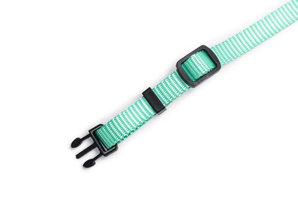 Beeztees Yavru Köpek Boyun Tasması, Çeşitli Renklerde, 17-25cm, 10mm - Resim 9