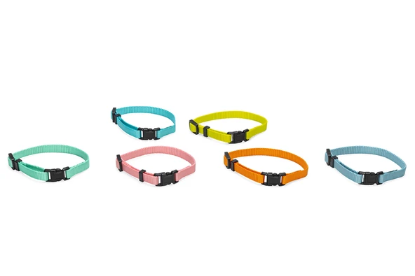 Beeztees Yavru Köpek Boyun Tasması, Çeşitli Renklerde, 17-25cm, 10mm ürün görseli