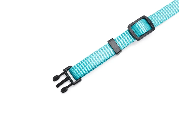 Beeztees Yavru Köpek Boyun Tasması, Çeşitli Renklerde, 17-25cm, 10mm - Resim 5