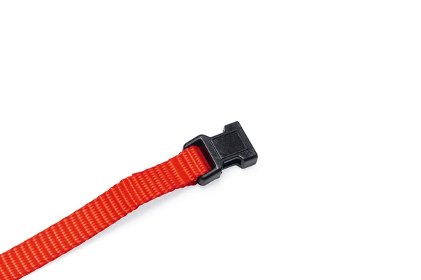 Beeztees Yavru Köpek Boyun Tasması, Çeşitli Renklerde, 22-35cm, 10mm - Resim 9