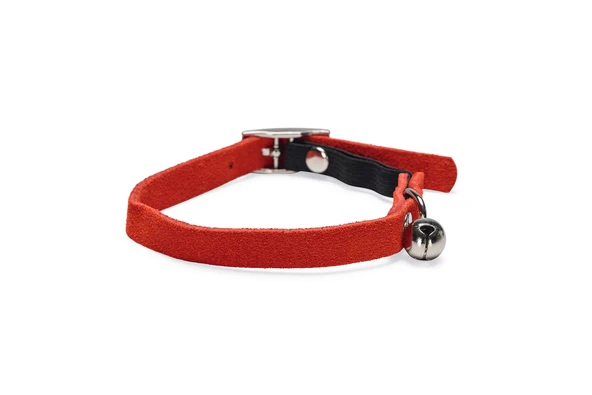 Beeztees Kedi Boyun Tasması, Süet, Kırmızı, 24-29cm ürün görseli