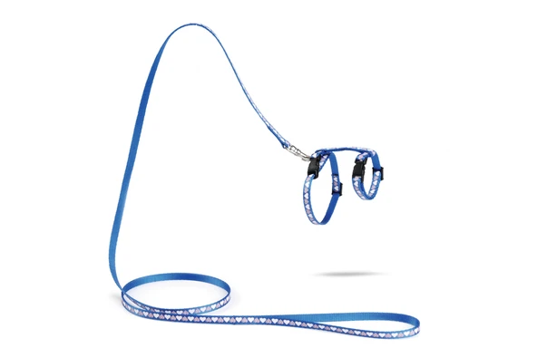 Beeztees Yavru Kedi Göğüs Tasması ve Gezdirme Kayışı 120cm, Mavi, 16-25cm Boyun, 23-36cm Göğüs ürün görseli