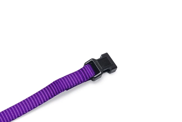 Beeztees Yavru Köpek Boyun Tasması, Çeşitli Renklerde, 22-35cm, 10mm - Resim 2