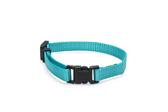 Beeztees Yavru Köpek Boyun Tasması, Çeşitli Renklerde, 17-25cm, 10mm - Resim 3