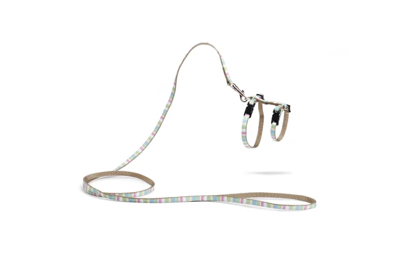 Beeztees Yavru Kedi Göğüs Tasması ve Gezdirme Kayışı, 120cm, Yeşil, 15-33cm ürün görseli