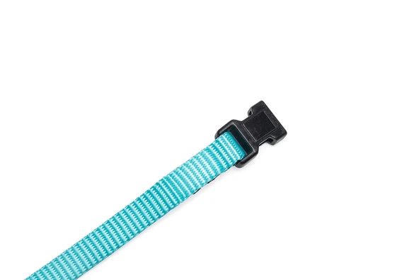 Beeztees Yavru Köpek Boyun Tasması, Çeşitli Renklerde, 17-25cm, 10mm - Resim 4