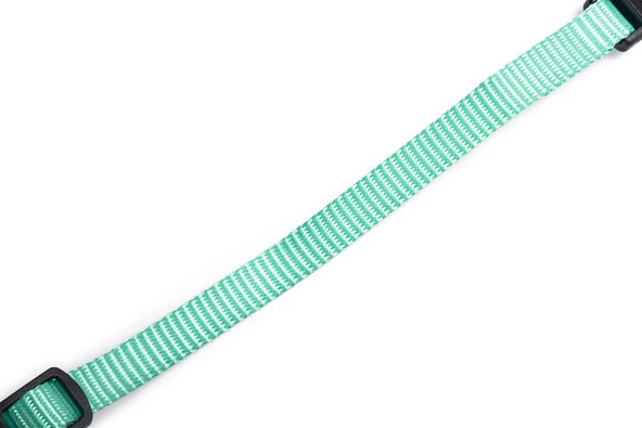 Beeztees Yavru Köpek Boyun Tasması, Çeşitli Renklerde, 17-25cm, 10mm - Resim 10
