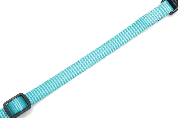 Beeztees Yavru Köpek Boyun Tasması, Çeşitli Renklerde, 17-25cm, 10mm - Resim 6