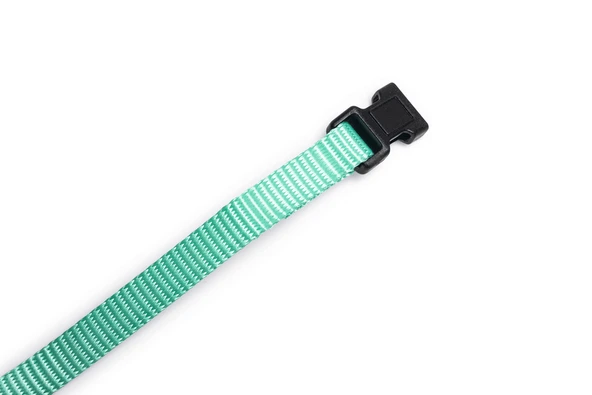 Beeztees Yavru Köpek Boyun Tasması, Çeşitli Renklerde, 17-25cm, 10mm - Resim 8