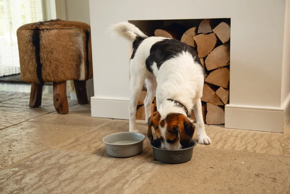 Beeztees DBL Köpek Mama Su Kabı, Mat Siyah Paslanmaz Çelik, 16cm, 940ml - Resim 2