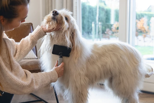 Beeztees Köpek Tarağı, Kolay Tarama, SM, Siyah Gri, 19cm, 19x12x4cm - Resim 3