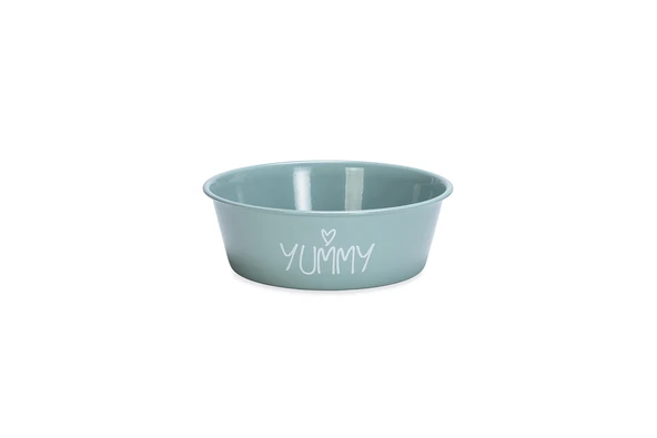 Beeztees Yavru Köpek Mama Su Kabı, Paslanmaz Çelik, Kaymaz Taban, Turkuaz, 13cm, 470ml ürün görseli 1