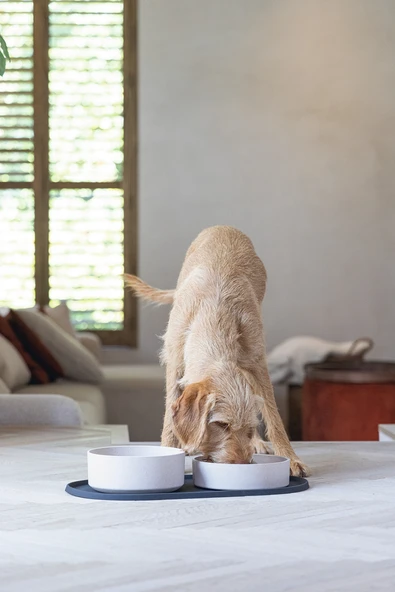 Beeztees DBL Mama Su Kabı Servisi, Silikon, Kaymaz, Antrasit, 55x30x1,7cm - Resim 2