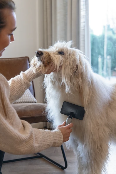 Beeztees Köpek Tarağı, Kolay Tarama, SM, Siyah Gri, 19cm, 19x12x4cm - Resim 2