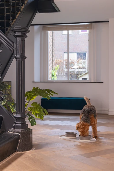 Beeztees DBL Mama Su Kabı Servisi, Silikon, Kaymaz, Bej, 55x30x1,7cm - Resim 5