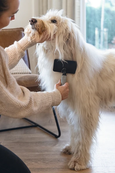 Beeztees Köpek Tarağı, Kolay Tarama, SM, Siyah Gri, 19cm, 19x12x4cm - Resim 4