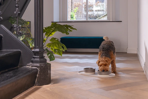 Beeztees DBL Mama Su Kabı Servisi, Silikon, Kaymaz, Bej, 55x30x1,7cm - Resim 4