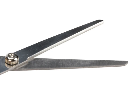 Beeztees Köpek Bakım Makası, Siyah, 17cm, 17x6x1cm - Resim 4