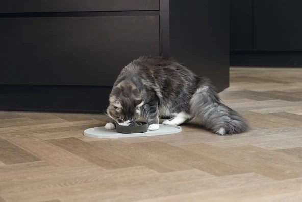 Beeztees DBL Mama Su Kabı Servisi, Silikon, Kaymaz, Bej, 45x25x1,5cm - Resim 2