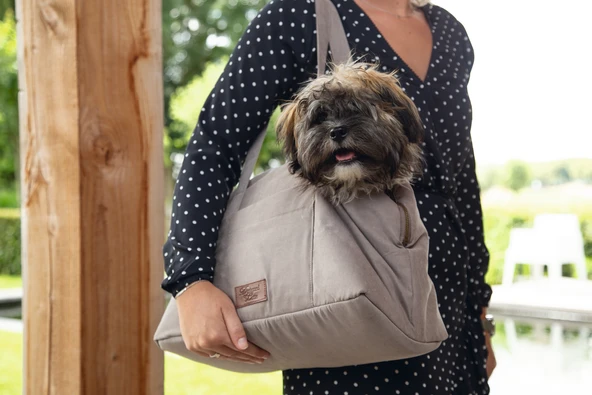 Beeztees DBL Köpek Taşıma Çantası, Yıkanabilir, 6,5Kg'ye kadar, Bej, 40x20x28cm - Resim 2