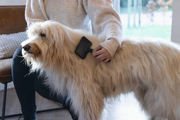 Beeztees Köpek Tarağı, Kolay Tarama, SM, Siyah Gri, 19cm, 19x12x4cm - Resim 5