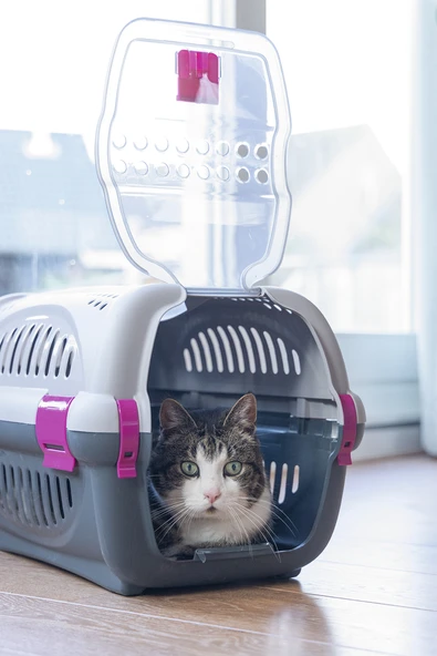 Beeztees Köpek veya Kedi Taşıma Kabı, Gri/Pembe, 51x34,5x33cm - Resim 2