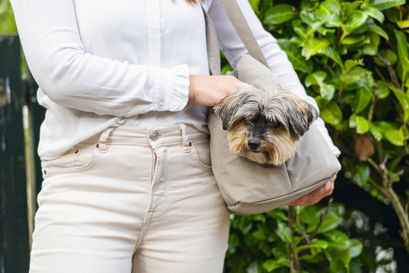 Beeztees DBL Köpek Taşıma Çantası, Yıkanabilir, 6,5Kg'ye kadar, Bej, 40x20x28cm - Resim 3