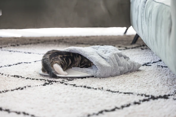 Beeztees Yavru Kedi Oyun Yatağı, Oyuncaklı, 50x40x15cm - Resim 2