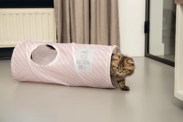 Beeztees Yavru Kedi Oyun Tüneli, 60x24x24cm - Resim 3