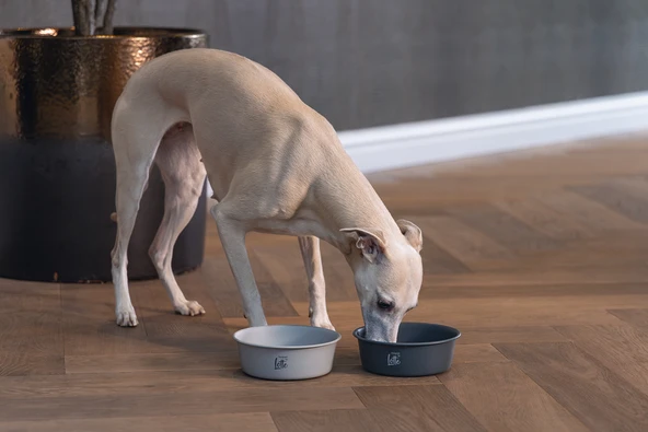 Beeztees DBL Köpek Mama Su Kabı, Mat Siyah Paslanmaz Çelik, 16cm, 940ml - Resim 4