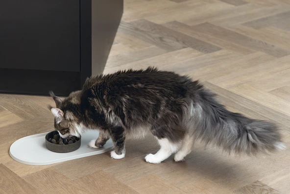 Beeztees DBL Mama Su Kabı Servisi, Silikon, Kaymaz, Bej, 45x25x1,5cm - Resim 3