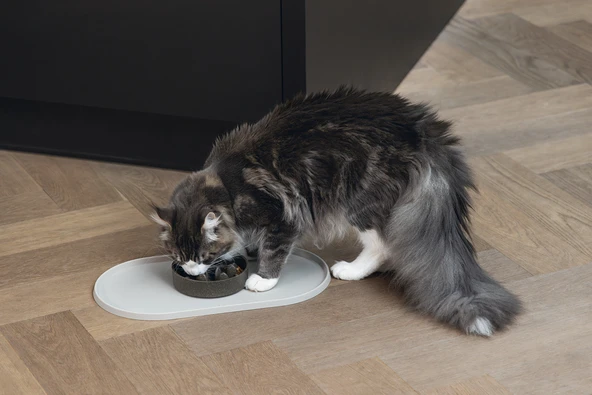 Beeztees DBL Mama Su Kabı Servisi, Silikon, Kaymaz, Bej, 45x25x1,5cm - Resim 4