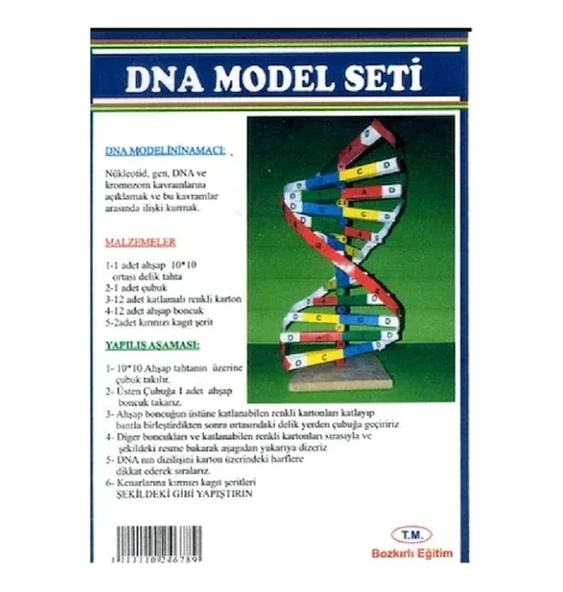 Dna Model Yapım Seti - 4 adet ürün görseli 1