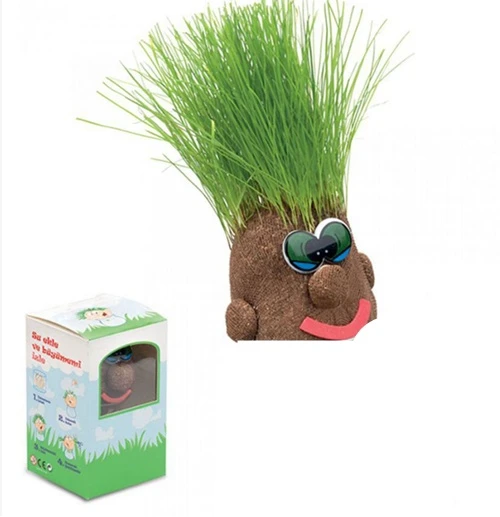 Bozkırlı Çim Adam Pvc Kutulu - 2 adet