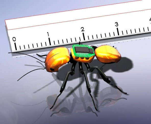 Karınca Başı Plastik Aparat - 1