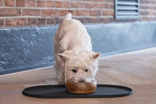 Beeztees DBL Köpek Mama Su Kabı, Dışı Masif Ahşap, Paslanmaz Çelik, 16,5cm, 650ml - Resim 5