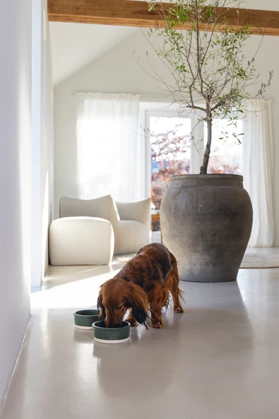 Beeztees DBL Köpek Mama Su Kabı, Seramik, Mat Yeşil, 13cm, 160ml - Resim 4