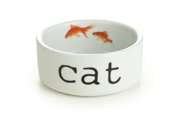 Beeztees Kedi Mama Su Kabı, Seramik, Beyaz, 11,5cm, 300ml