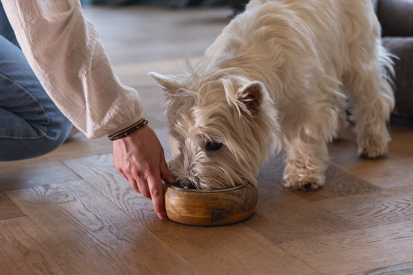 Beeztees DBL Köpek Mama Su Kabı, Dışı Masif Ahşap, Paslanmaz Çelik, 16,5cm, 650ml - Resim 2