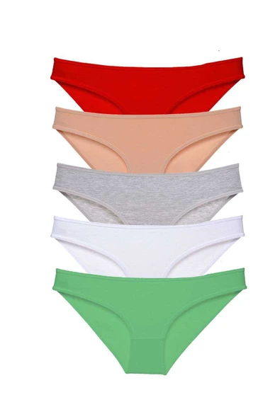 SheDo 5 adet Süper Eko Set Likralı Kadın Slip Külot 524