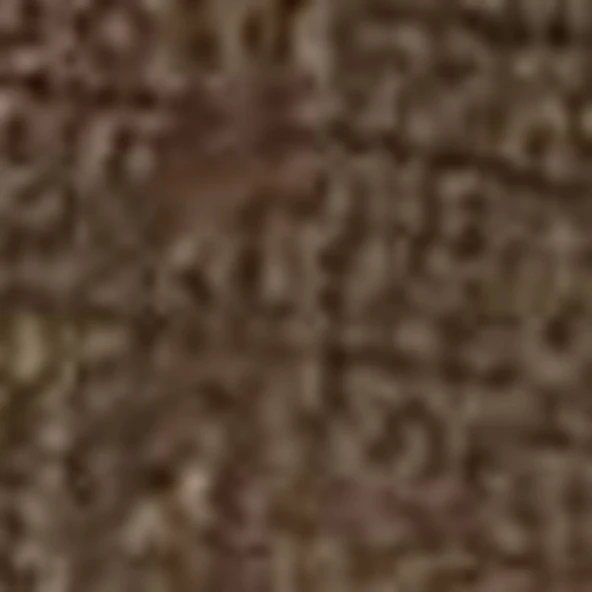 Timberland CLASSIC BOAT SHOE Erkek Ayakkabı TB0A4187EO81 - 3