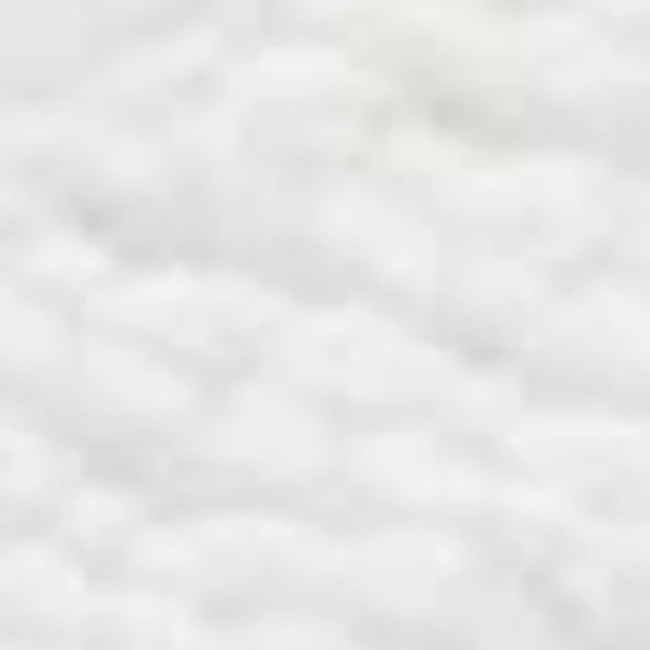 Timberland MOTION ACCESS LOW LACE UP SNEAKER Kadın Ayakkabı TB0A29PPEAC1 - 3