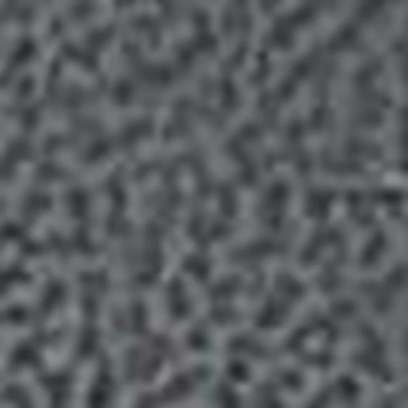 Timberland CLASSIC BOAT SHOE Kadın Ayakkabı TB0A2Q9XEP81 - 3