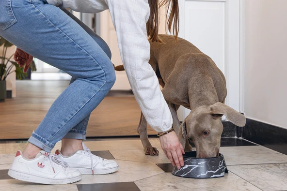 Beeztees DBL Köpek Mama Su Kabı, Mat Siyah Paslanmaz Çelik, Siyah Mermer Görünümlü, 22cm, 700ml - Resim 2