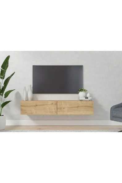 OlcayAksesuar TV Ünitesi 120 cm Tv Sehpası 2 Kapaklı TV Dolabı