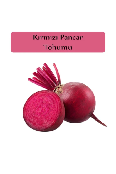 Kırmızı Pancar Tohumu 1 Paket Pancar Tohumu Kapalı Paket Yüksek Verimli Tohum