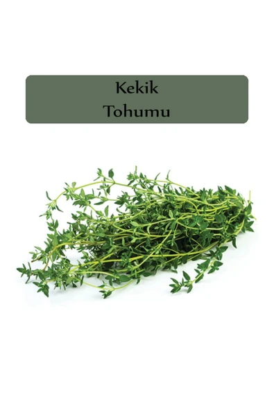 Kekik Tohumu 1 Paket Kapalı Paket Yüksek Verimli Tohum
