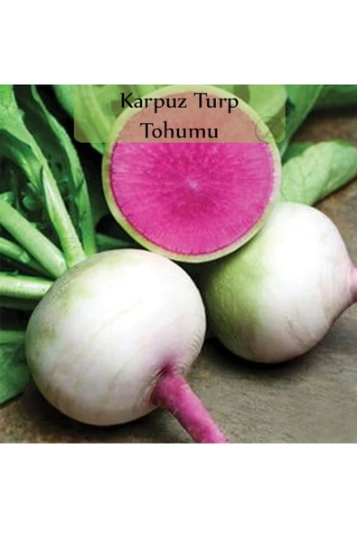 Turp Tohumu 1 Paket Karpuz Turp Tohumu Kapalı Paket Yüksek Verimli Tohum - Resim 2