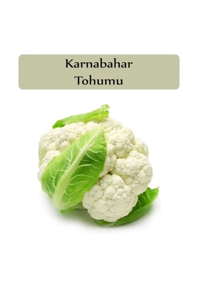Karnabahar Tohumu 1 Paket Karnıbahar Tohumu Kapalı Paket Yüksek Verimli Tohum Karna Bahar Tohumu